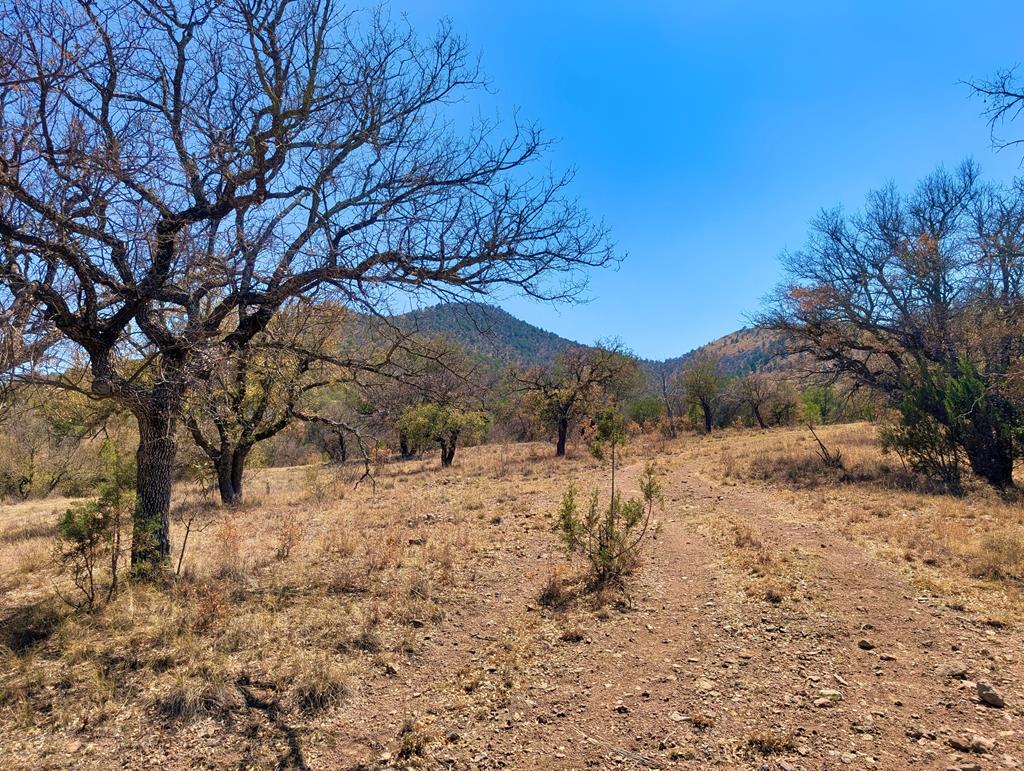 113 Six Shooter Gulch Ridge, Fort Davis, Alabama image 1