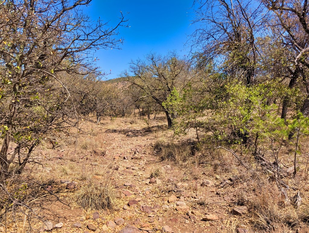113 Six Shooter Gulch Ridge, Fort Davis, Alabama image 8