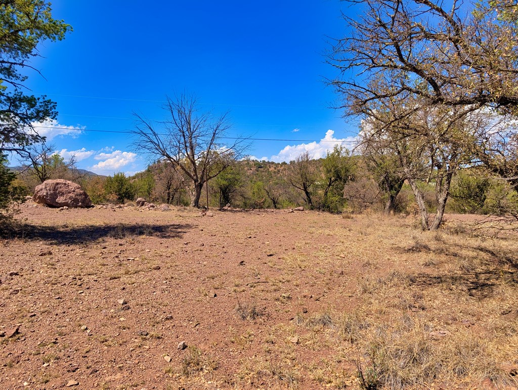 113 Six Shooter Gulch Ridge, Fort Davis, Alabama image 9