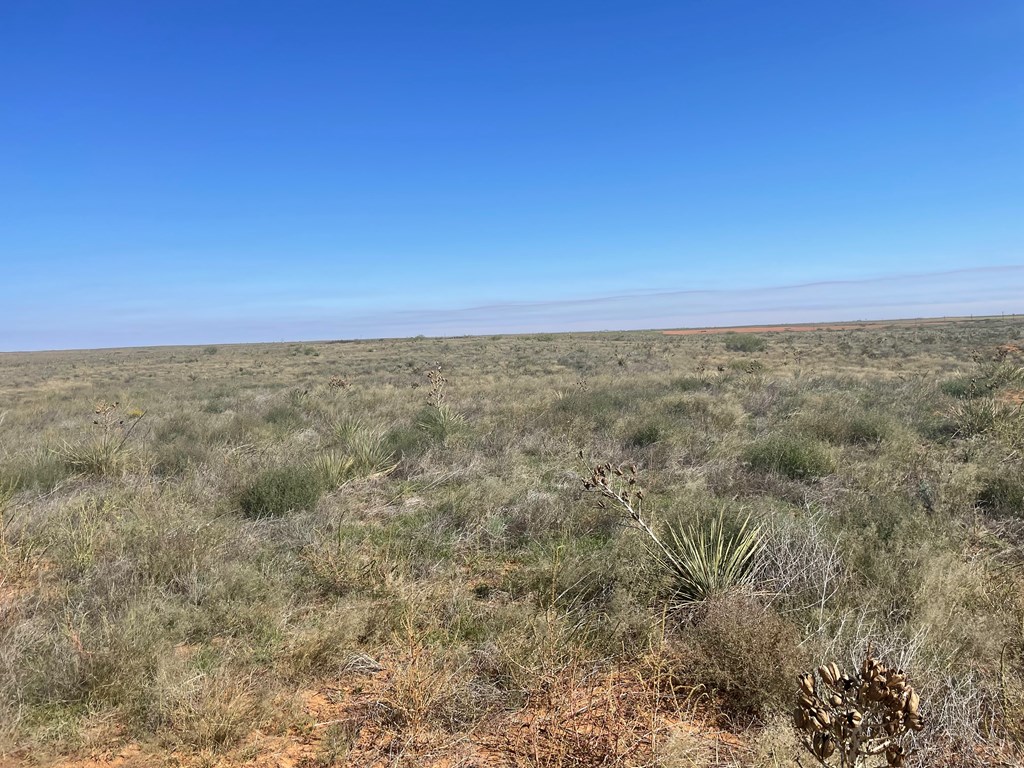 9665 NW County Rd 3601, Andrews, Texas image 9