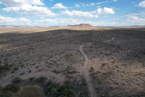 Vacant Land For Sale - 3 Scottsdale Run<br/> Sierra Blanca, TX 78951
