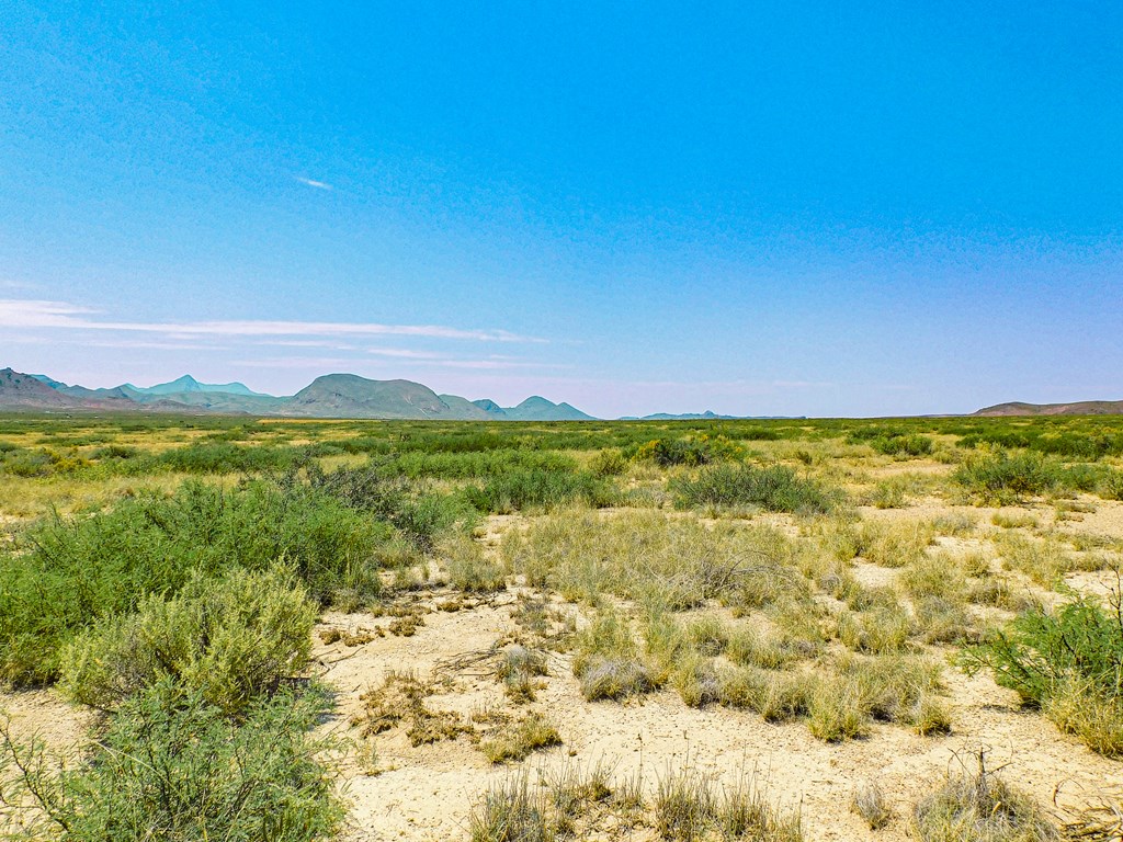 17089 War Zone Rd, Terlingua, Texas image 9