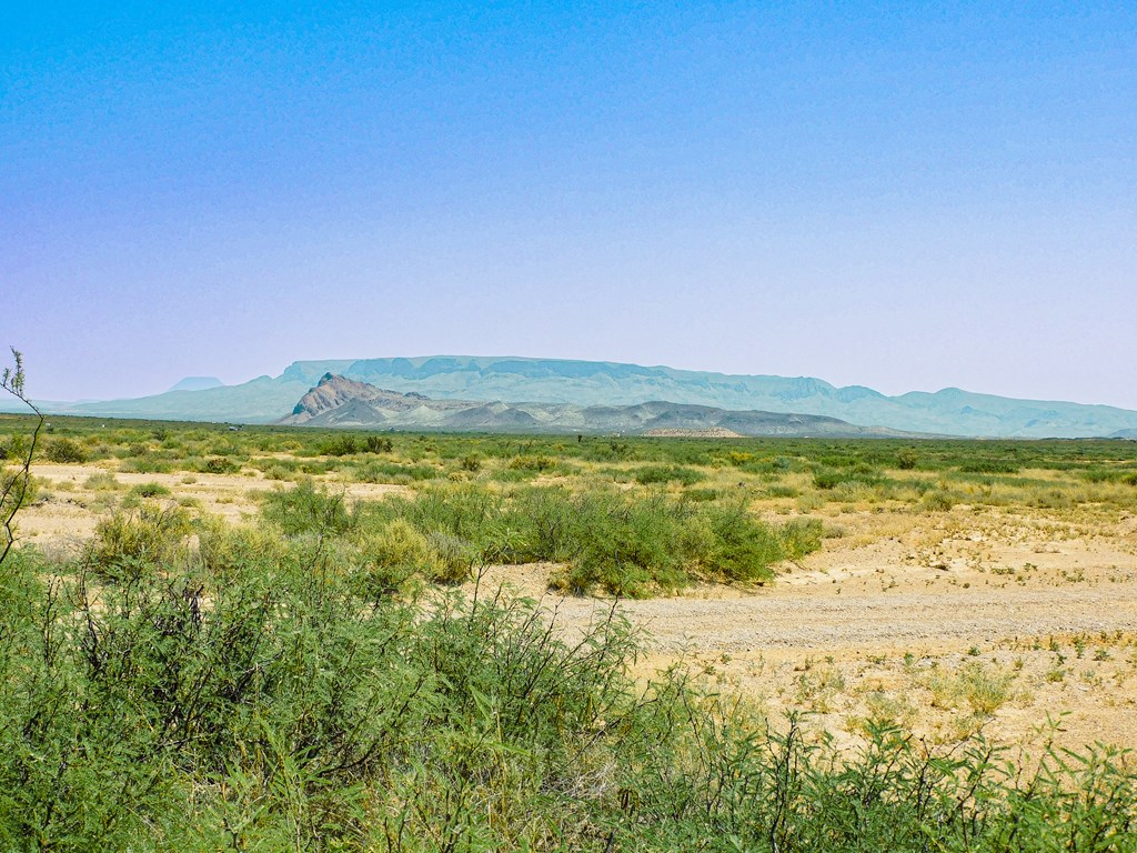 17089 War Zone Rd, Terlingua, Texas image 19