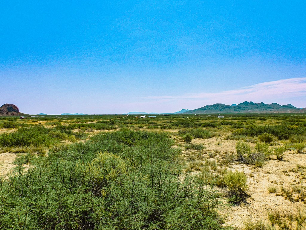 17089 War Zone Rd, Terlingua, Texas image 8