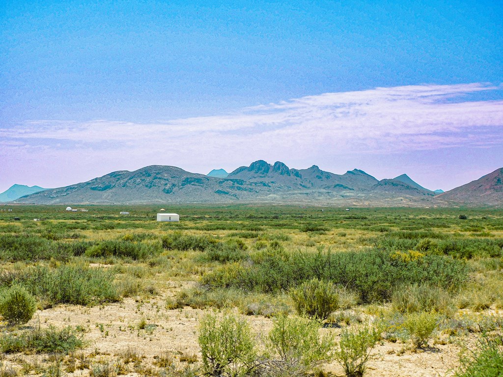 17089 War Zone Rd, Terlingua, Texas image 6