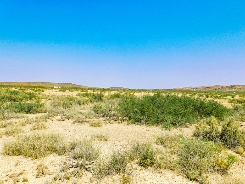 17089 War Zone Rd, Terlingua, Texas image 16