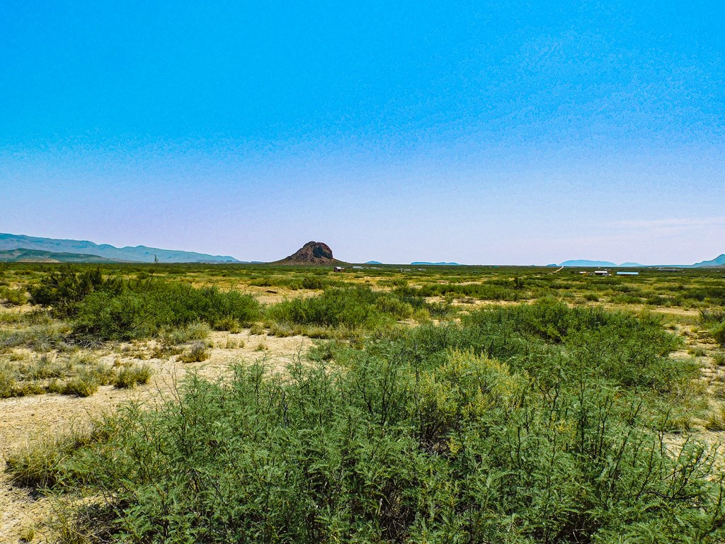 17089 War Zone Rd, Terlingua, Texas image 12