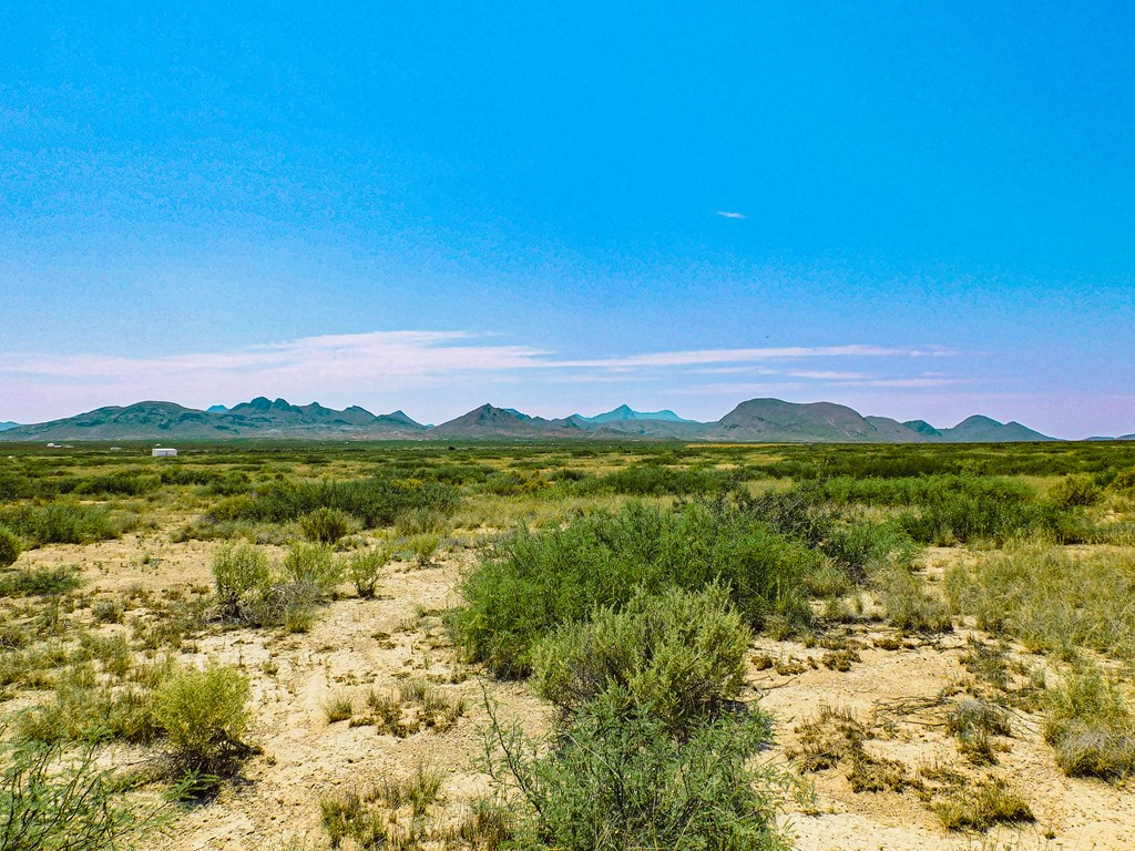 17089 War Zone Rd, Terlingua, Texas image 10