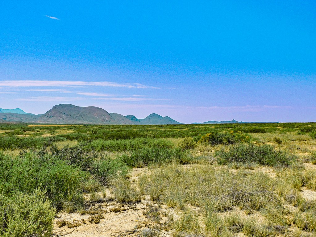 17089 War Zone Rd, Terlingua, Texas image 11