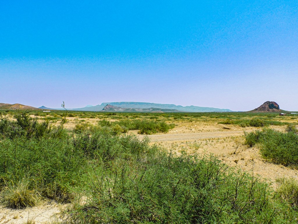 17089 War Zone Rd, Terlingua, Texas image 20