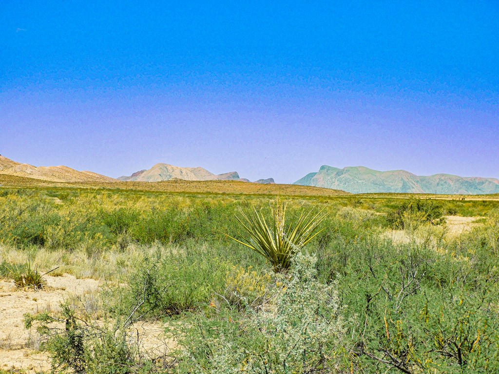 17089 War Zone Rd, Terlingua, Texas image 3