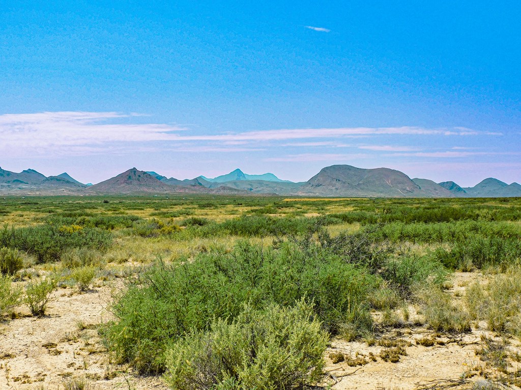 17089 War Zone Rd, Terlingua, Texas image 7