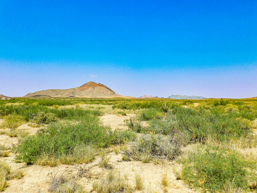 17089 War Zone Rd, Terlingua, Texas image 14