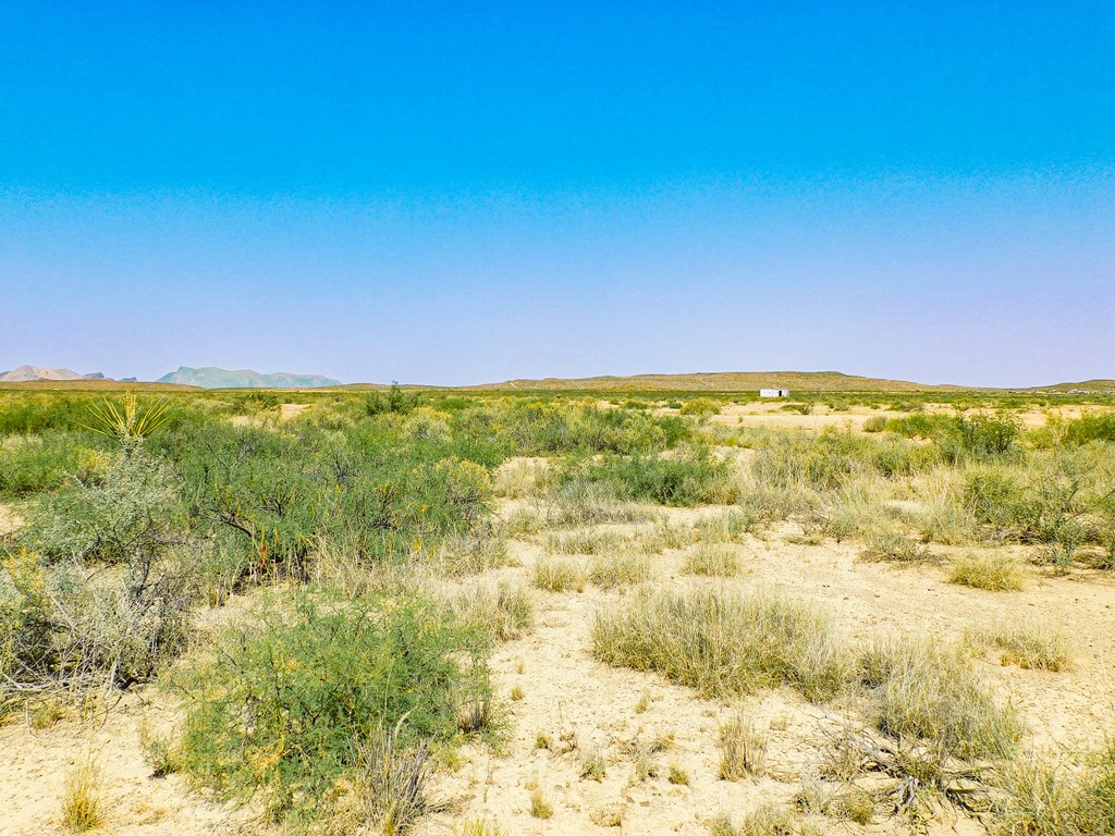 17089 War Zone Rd, Terlingua, Texas image 15