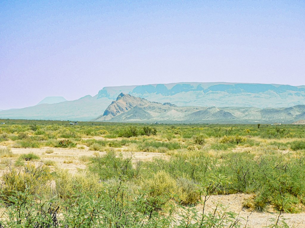 17089 War Zone Rd, Terlingua, Texas image 5