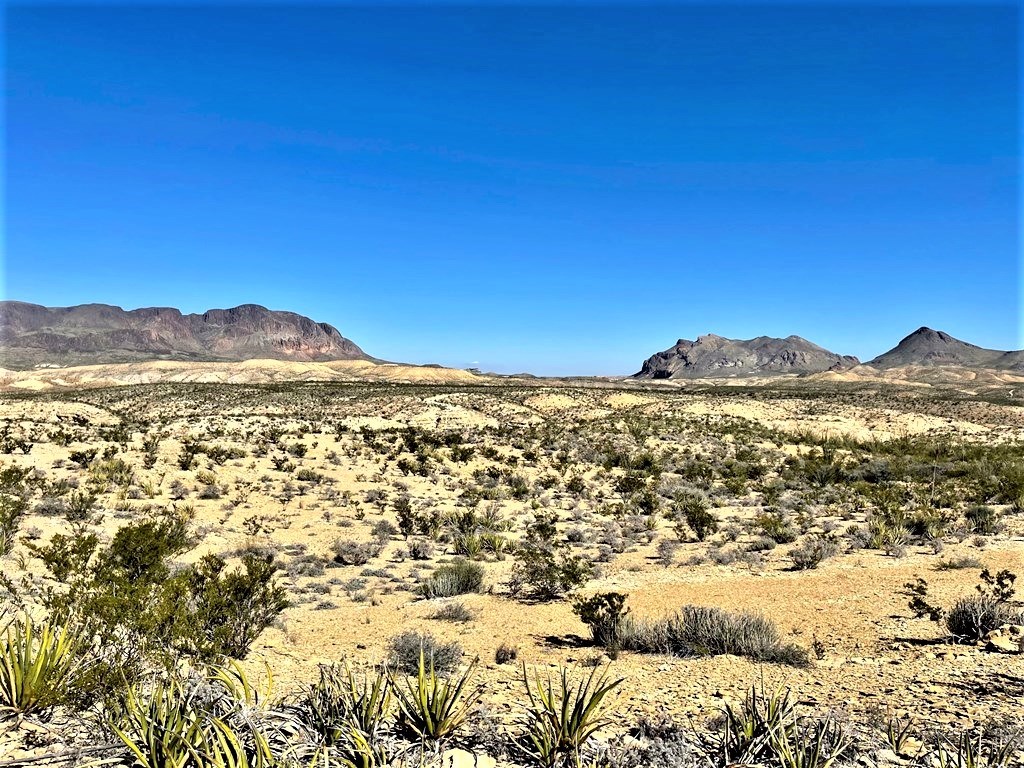 2731 Ringo Loop, Terlingua, Texas image 5