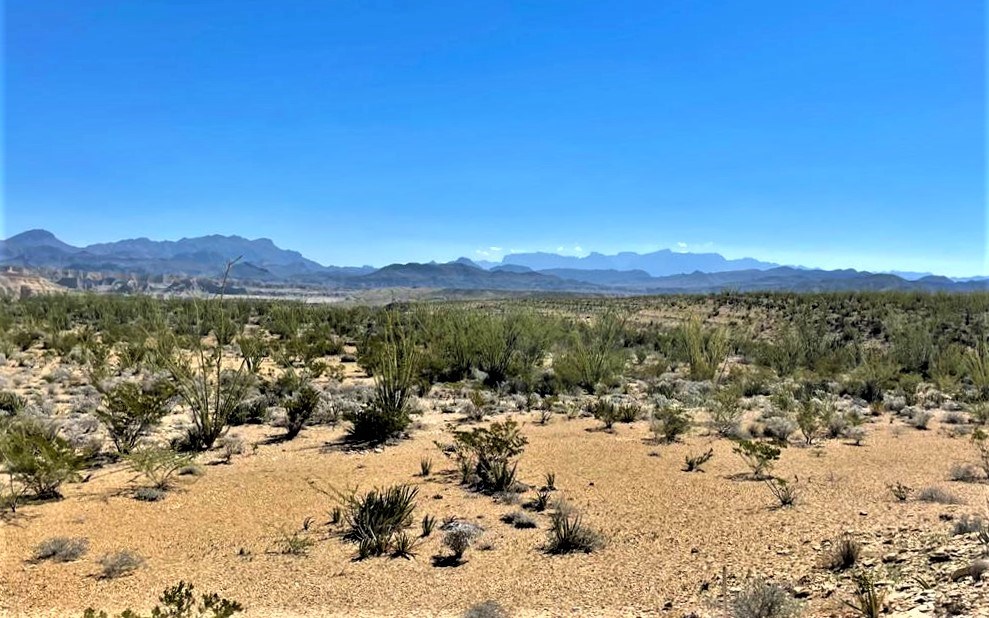 2731 Ringo Loop, Terlingua, Texas image 8