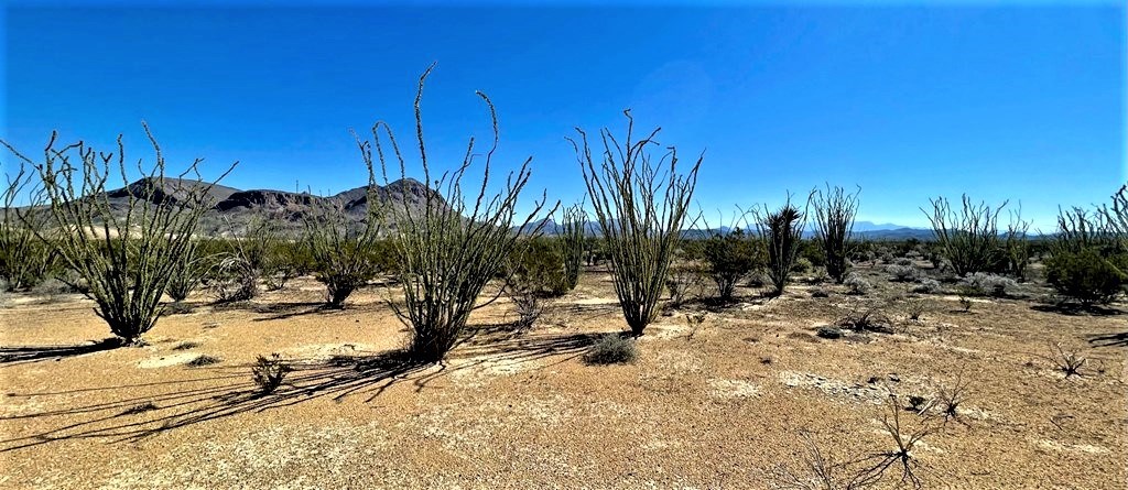 2731 Ringo Loop, Terlingua, Texas image 12