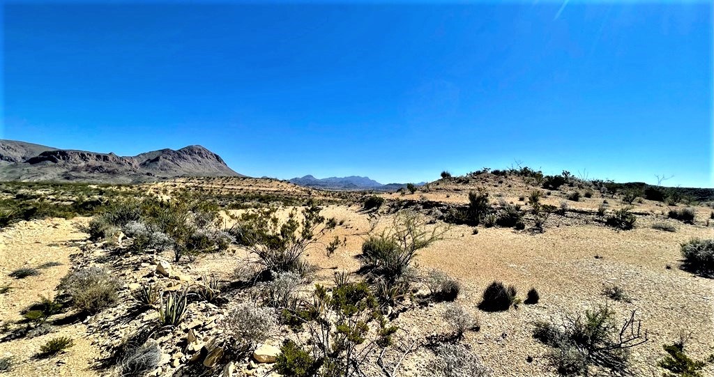 2731 Ringo Loop, Terlingua, Texas image 11