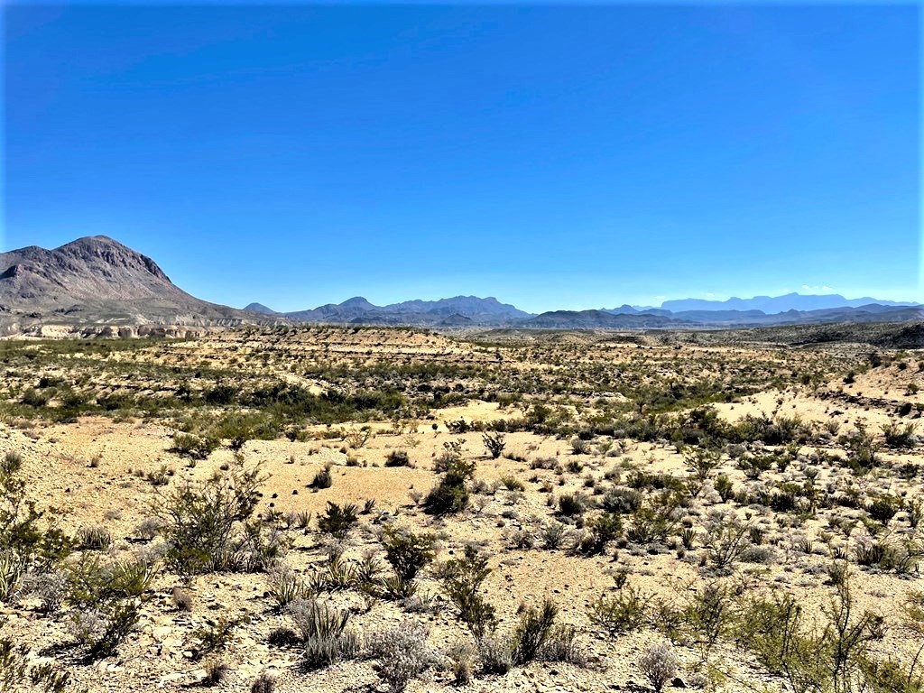 2731 Ringo Loop, Terlingua, Texas image 2