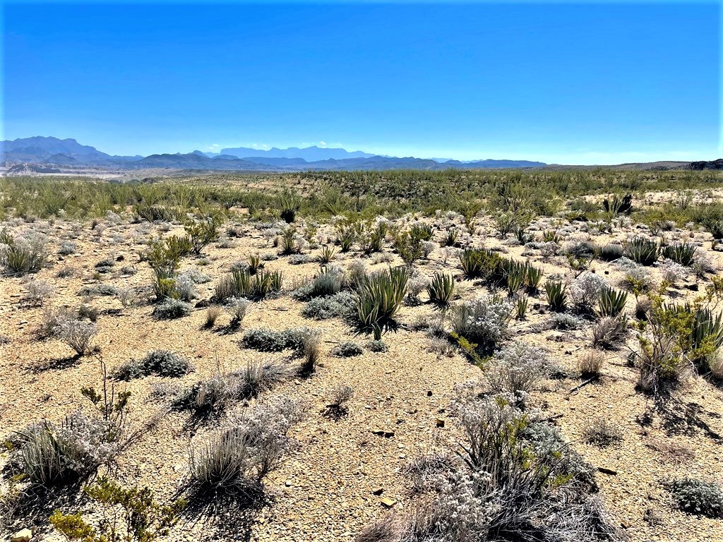 2731 Ringo Loop, Terlingua, Texas image 7