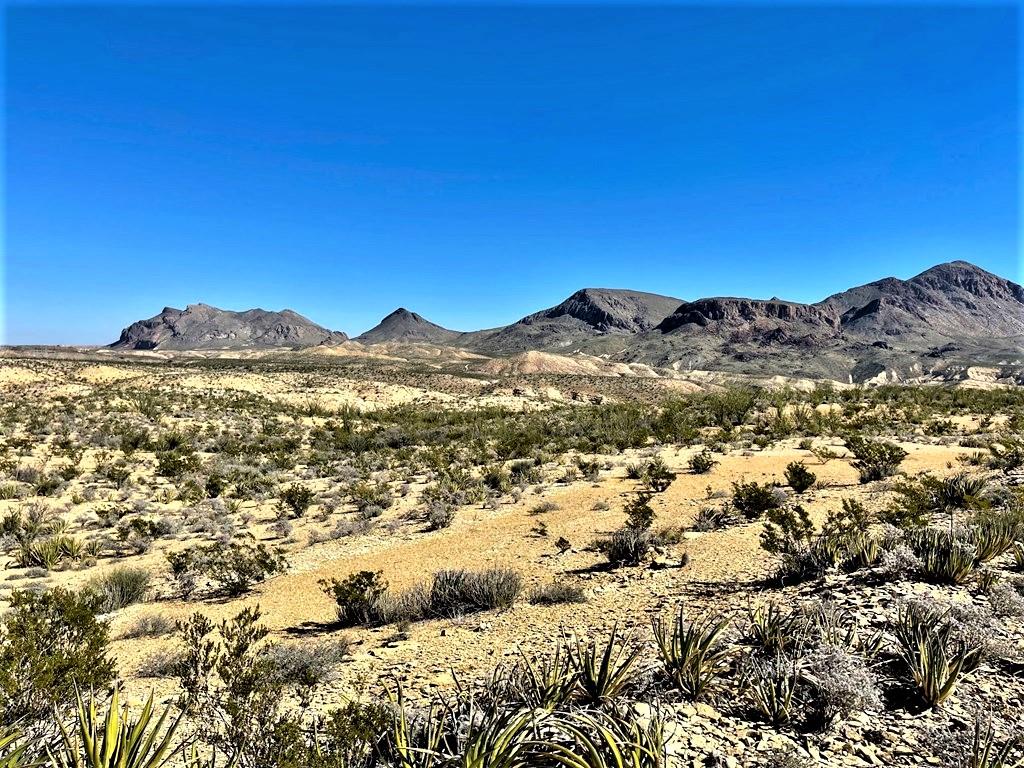 2731 Ringo Loop, Terlingua, Texas image 1