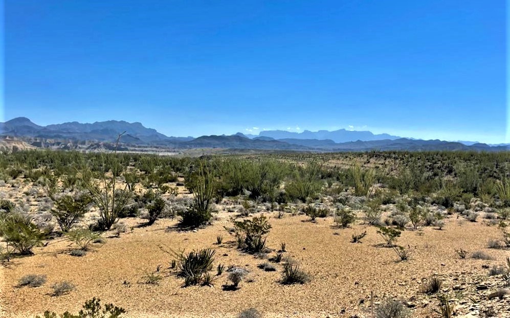 2731 Ringo Loop, Terlingua, Texas image 9