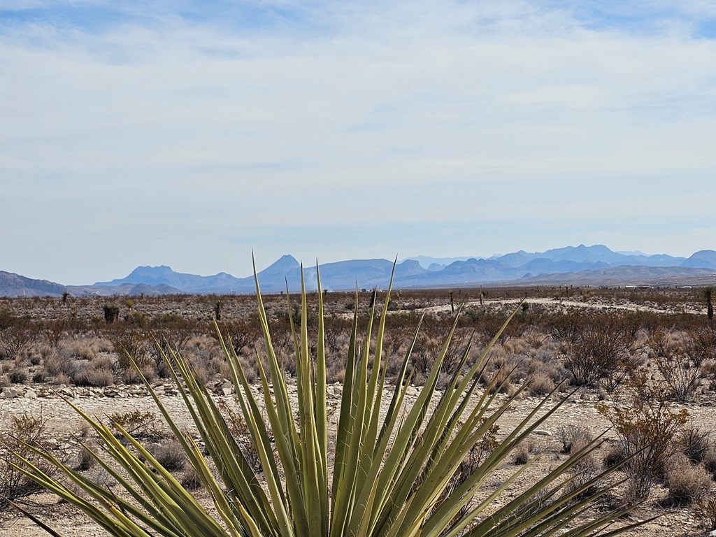 500 N Cheosa Trail, Terlingua, Texas image 6