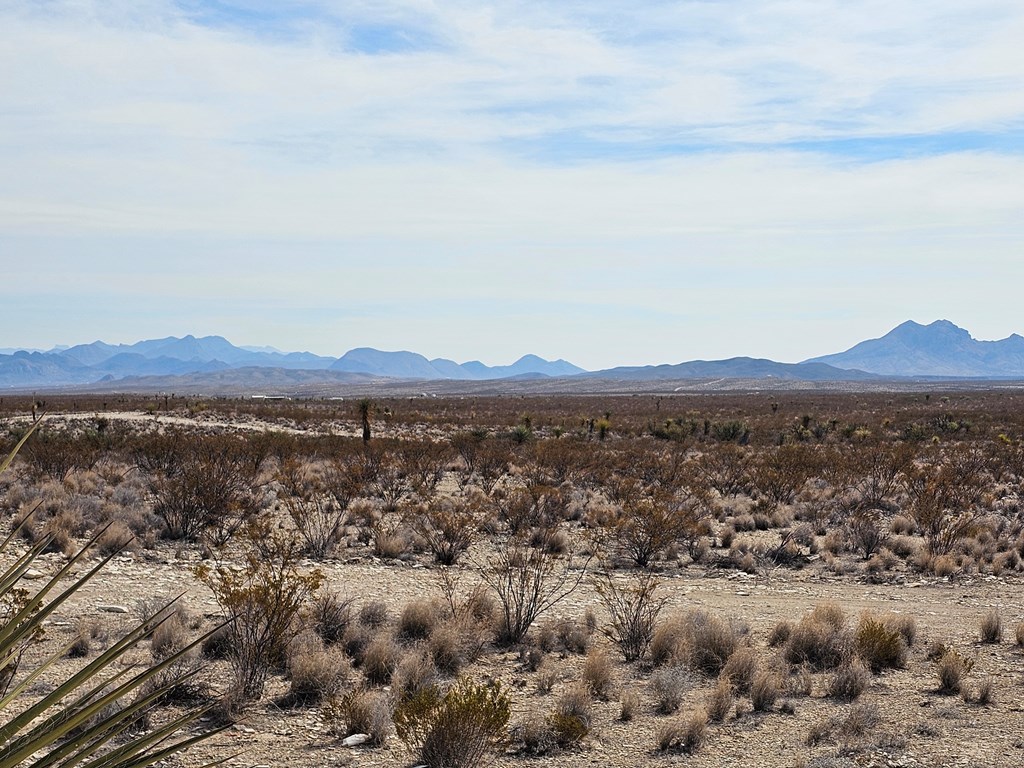 500 N Cheosa Trail, Terlingua, Texas image 32