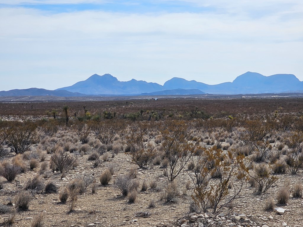 500 N Cheosa Trail, Terlingua, Texas image 2