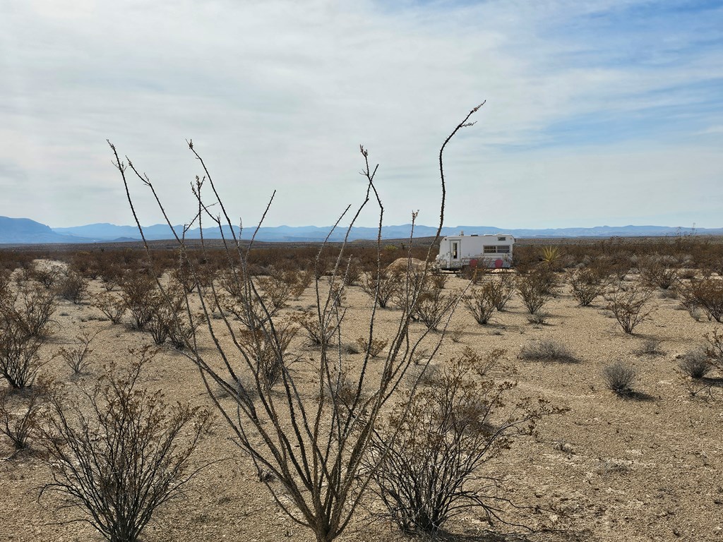 500 N Cheosa Trail, Terlingua, Texas image 26