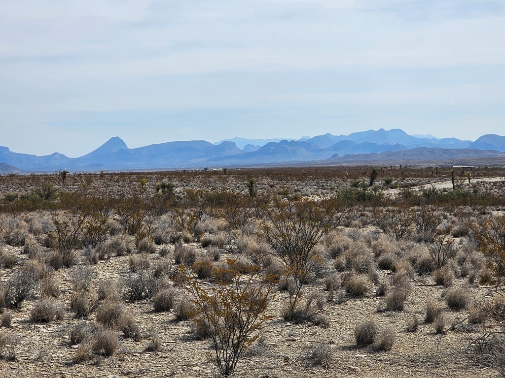 500 N Cheosa Trail, Terlingua, Texas image 27