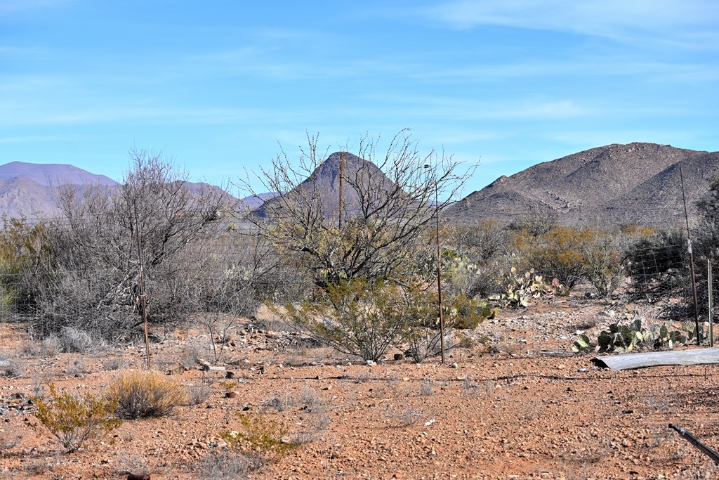 951-B Little Yisrael Lane, Terlingua, Texas image 12