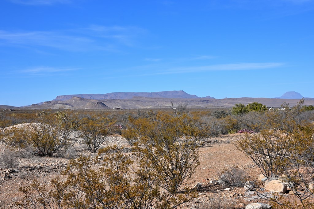 951-B Little Yisrael Lane, Terlingua, Texas image 15