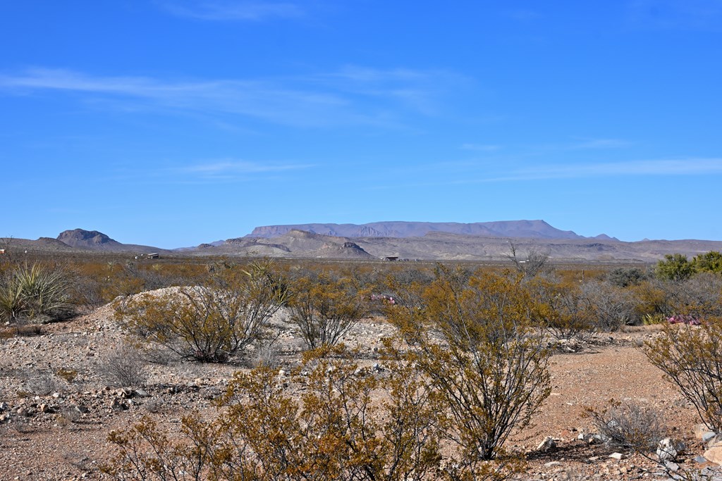 951-B Little Yisrael Lane, Terlingua, Texas image 20