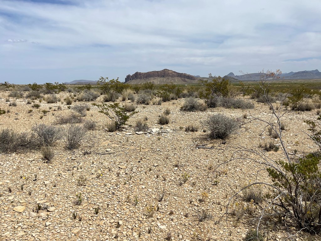 G79 S Bad Bunny Rd, Terlingua, Texas image 10