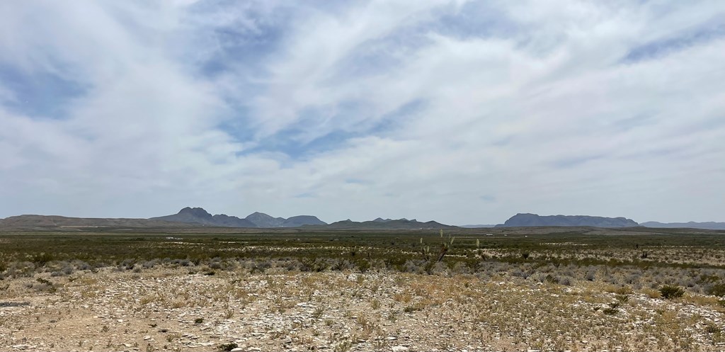 G79 S Bad Bunny Rd, Terlingua, Texas image 9