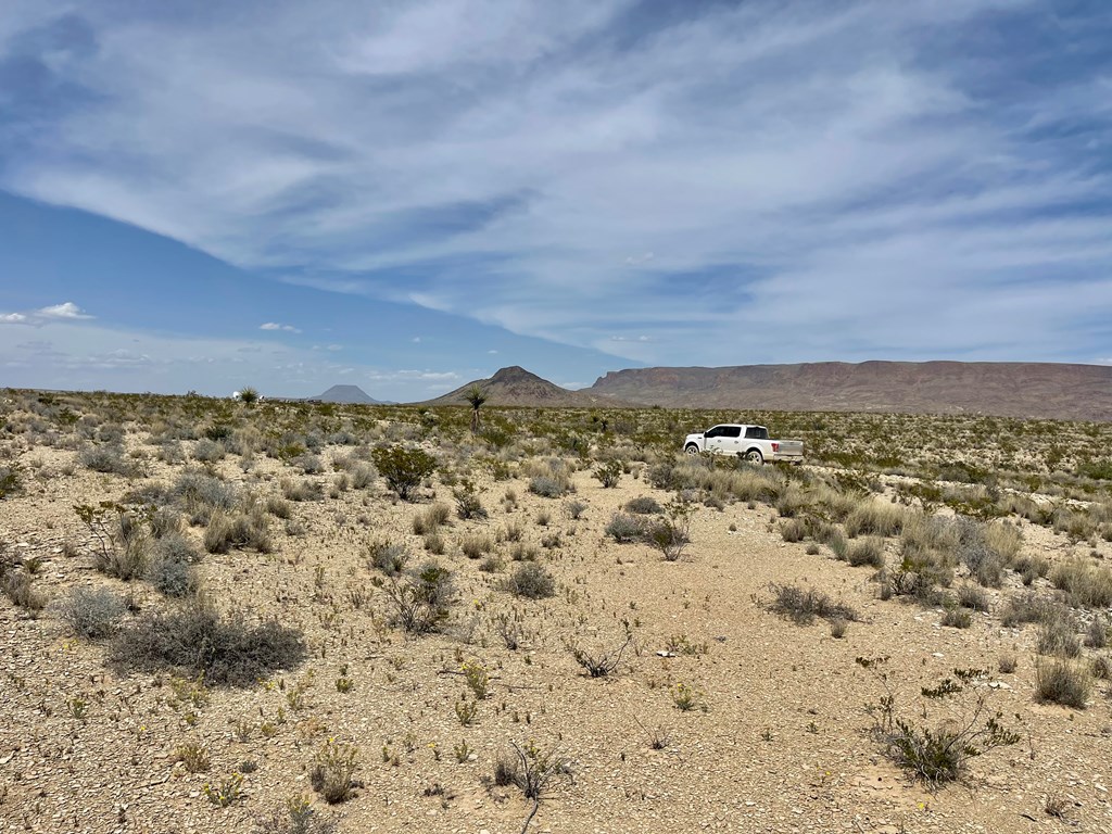 G79 S Bad Bunny Rd, Terlingua, Texas image 16