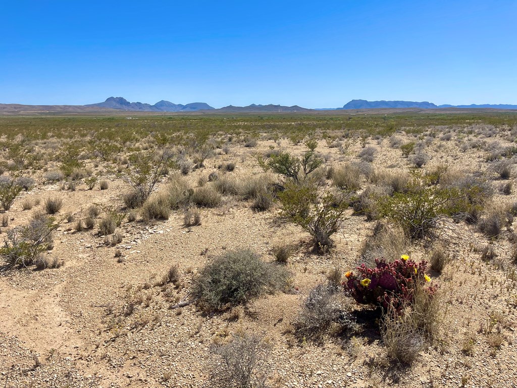 G79 S Bad Bunny Rd, Terlingua, Texas image 2