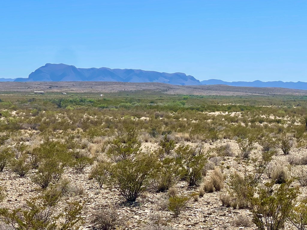 G79 S Bad Bunny Rd, Terlingua, Texas image 8