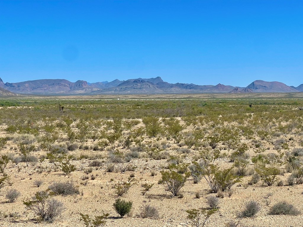 G79 S Bad Bunny Rd, Terlingua, Texas image 6