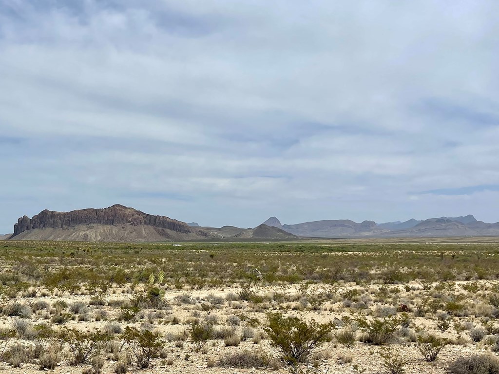 G79 S Bad Bunny Rd, Terlingua, Texas image 15