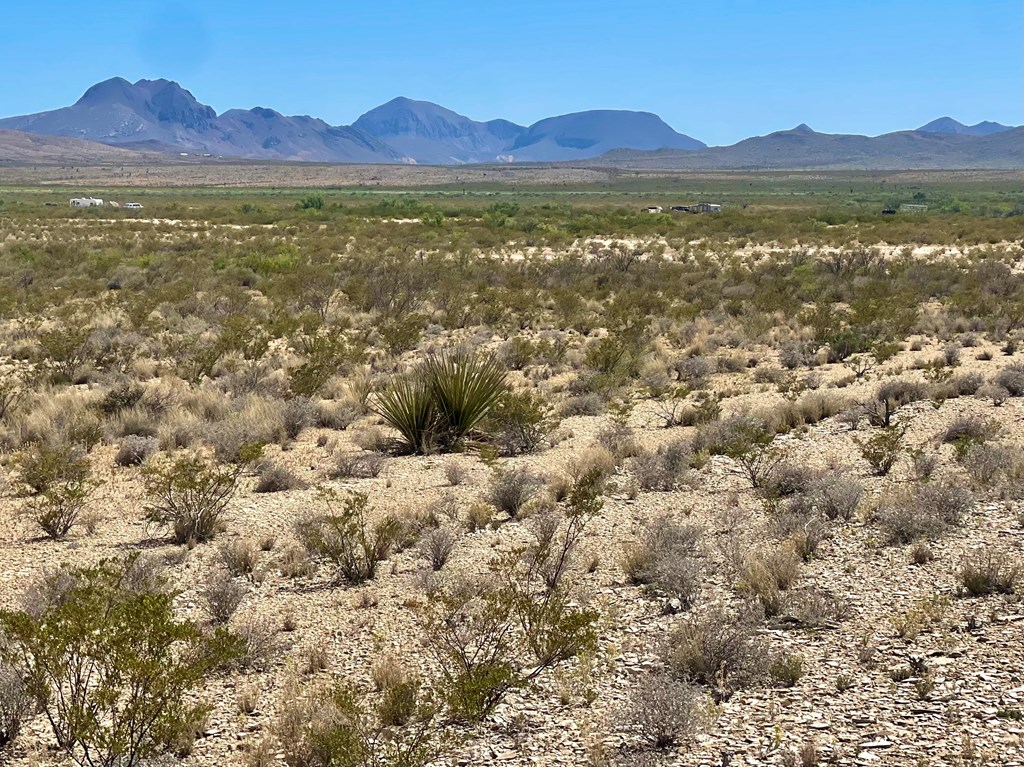 G79 S Bad Bunny Rd, Terlingua, Texas image 7