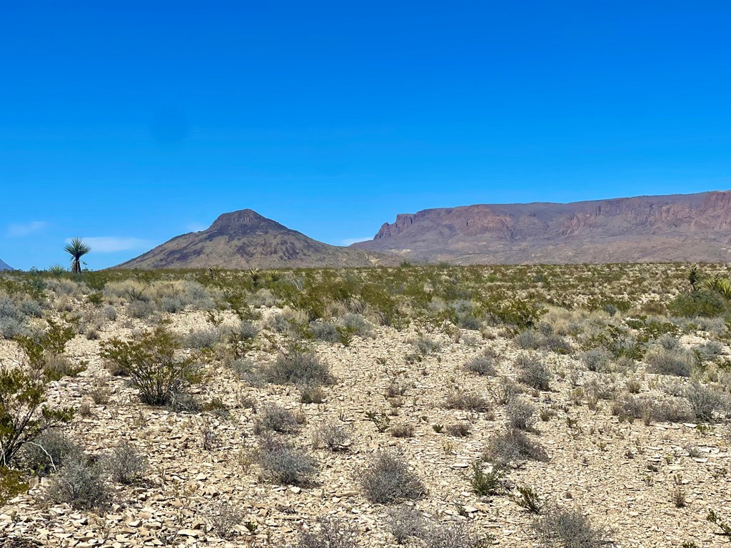 G79 S Bad Bunny Rd, Terlingua, Texas image 4