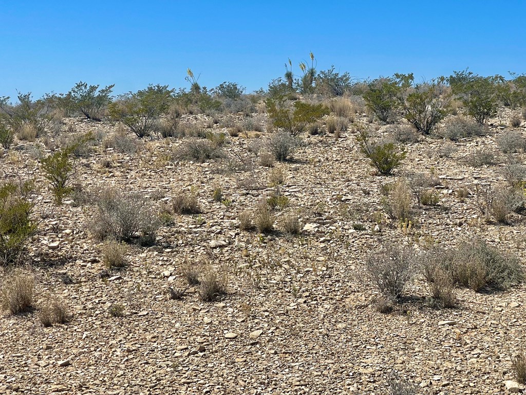 G79 S Bad Bunny Rd, Terlingua, Texas image 3