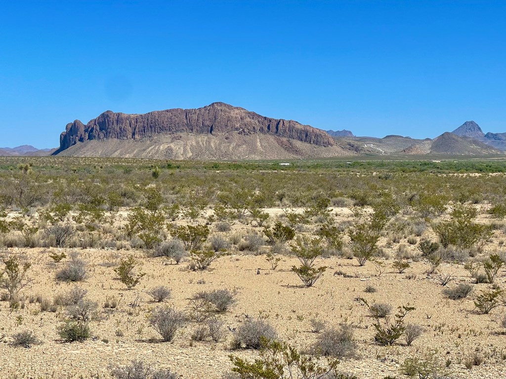 G79 S Bad Bunny Rd, Terlingua, Texas image 5