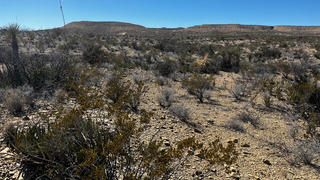 0000 Raven Rd, Terlingua, Texas image 4