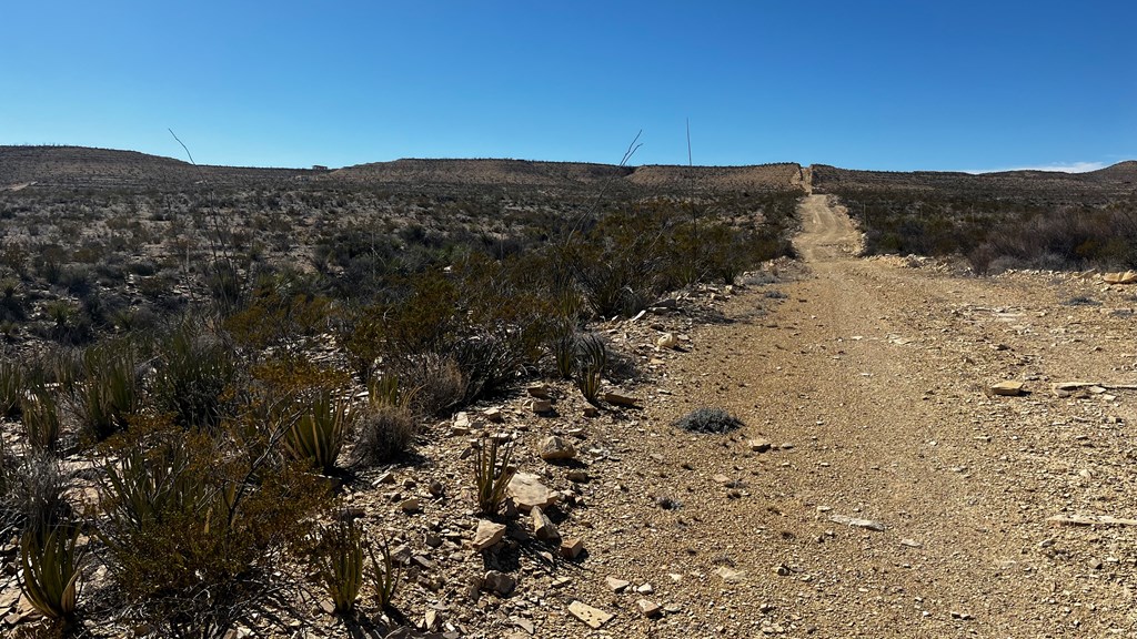 0000 Raven Rd, Terlingua, Texas image 7