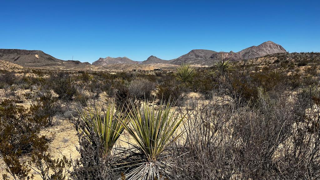 0000 Raven Rd, Terlingua, Texas image 1