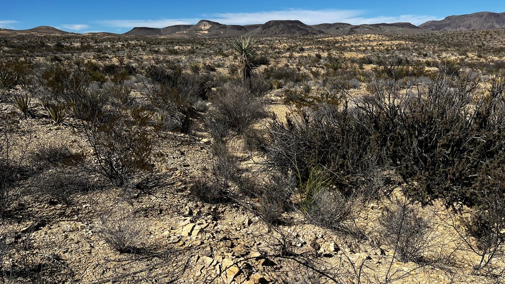 0000 Raven Rd, Terlingua, Texas image 5